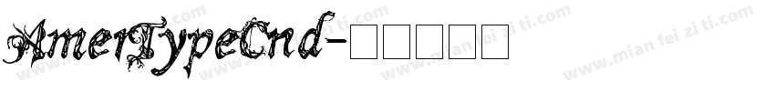 AmerTypeCnd字体转换