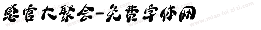 感官大聚会字体转换