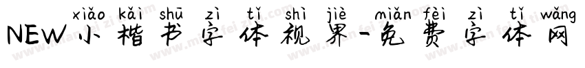 NEW小楷书字体视界字体转换