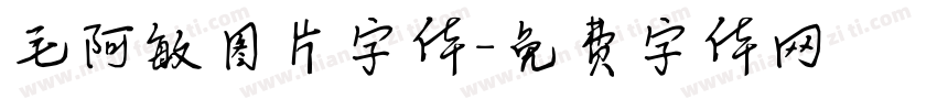 毛阿敏图片字体字体转换