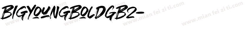 BigYoungBoldGB2字体转换