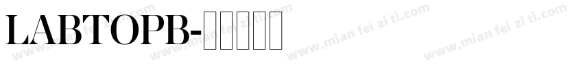 LABTOPB字体转换