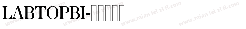 LABTOPBI字体转换