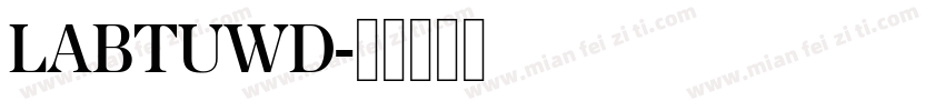 LABTUWD字体转换