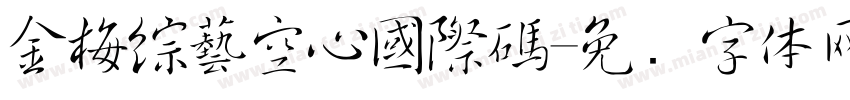 金梅綜藝空心國際碼字体转换