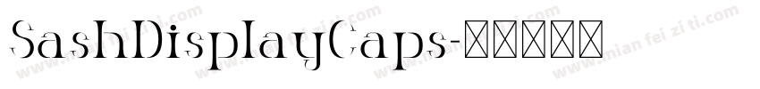 SashDisplayCaps字体转换