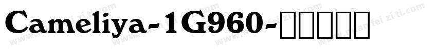 Cameliya-1G960字体转换