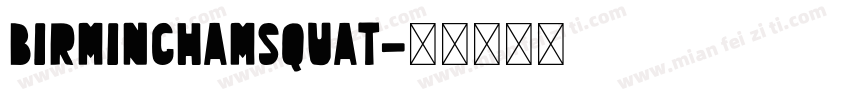 BirminghamSquat字体转换