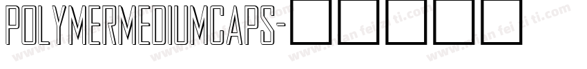 PolymerMediumCaps字体转换