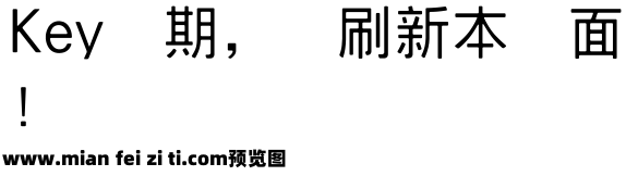 王汉宗中黑体简预览效果图