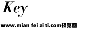 Didot-HTF-B06-Bold-Ital_0预览效果图