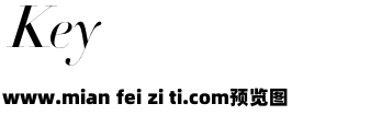 Didot-HTF-L96-Light-Ital_0预览效果图