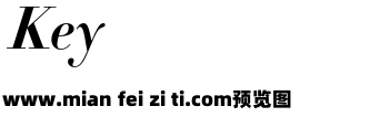 Didot-HTF-B16-Bold-Ital_0预览效果图