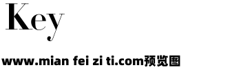 Didot-HTF-B24-Bold_0预览效果图