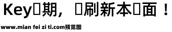 阿里巴巴普惠体日文 Medium预览效果图