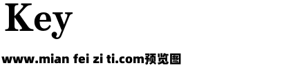 Schotis Text W05 Bold预览效果图