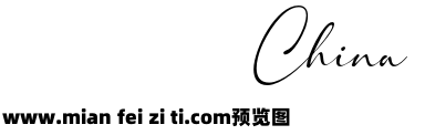 Shanghai Signature W05 Regular预览效果图