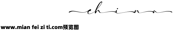 Shanghai Signature swash W05 Rg预览效果图