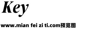 The Reading Display Italic预览效果图