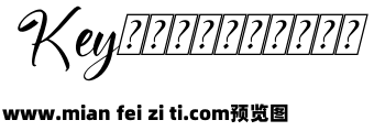 The Spirit Italic预览效果图