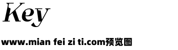 Tittowest Italic预览效果图