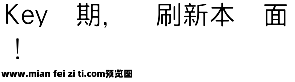 王漢宗細黑體繁预览效果图