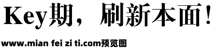 銳字雲字庫大標宋繁预览效果图