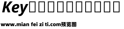 Open Sans Bold Italic预览效果图