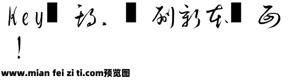 淡斋草书字体预览效果图